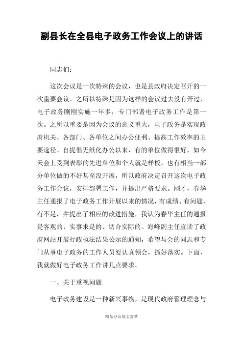 副县长在全县电子政务工作会议上的讲话