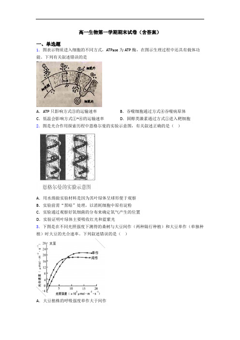 高一生物第一学期期末试卷(含答案)