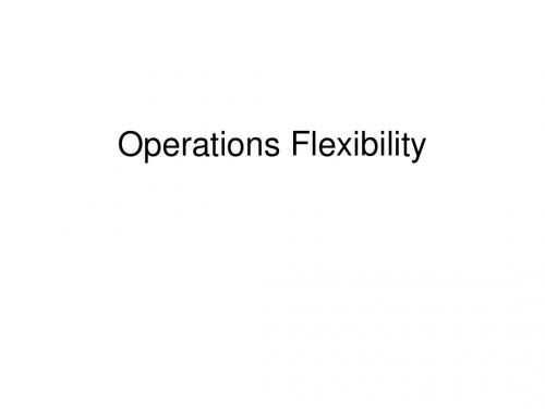 Operations Flexibility操作灵活性