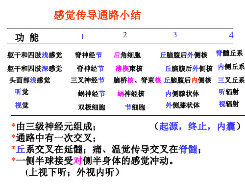 神经解剖学06感觉传导通路.课件.ppt