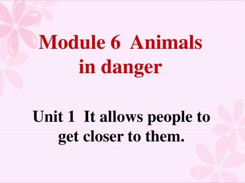 外研英语八年级上册Module6Unit1(共28张PPT)