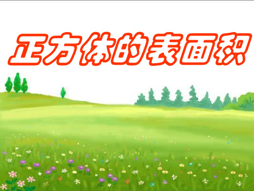 正方体的表面积(优秀课件)