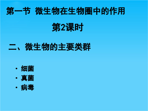 八年级生物上册 第18章 第1节 微生物在生物圈中的作用课件2 (新版)北师大版