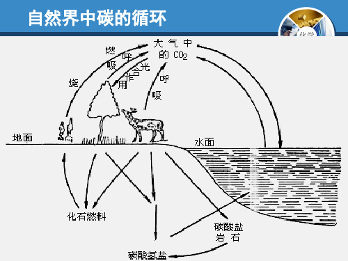 5.4古生物的“遗产”——化石燃料