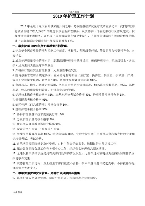 2019年护理_工作计划总结
