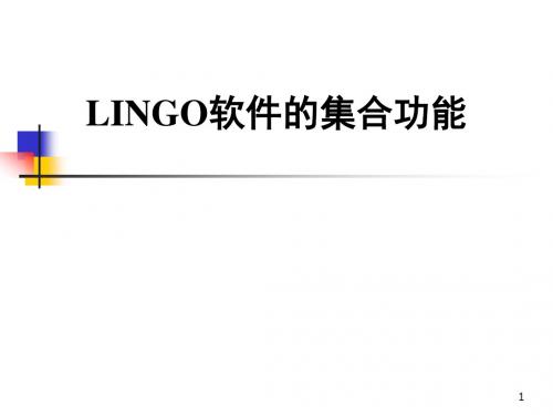 LINGO软件的集合功能