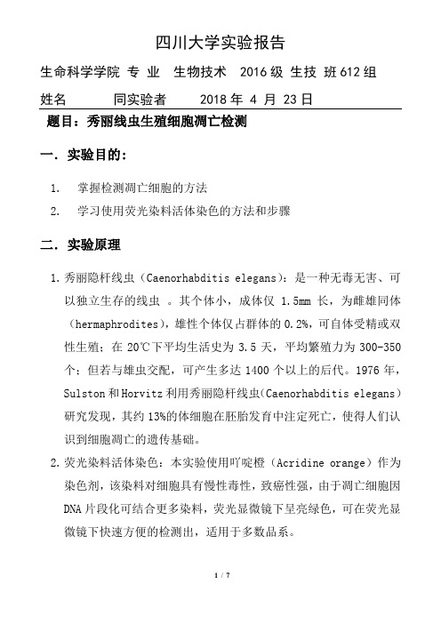 秀丽线虫生殖细胞凋亡检测 细胞学实验报告