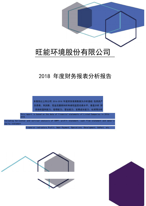 旺能环境股份有限公司2018年度财务报表分析报告