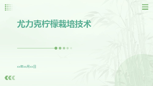 尤力克柠檬栽培技术