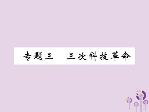 2019届中考历史总复习第二编热点专题突破专题3三次科技革命课件