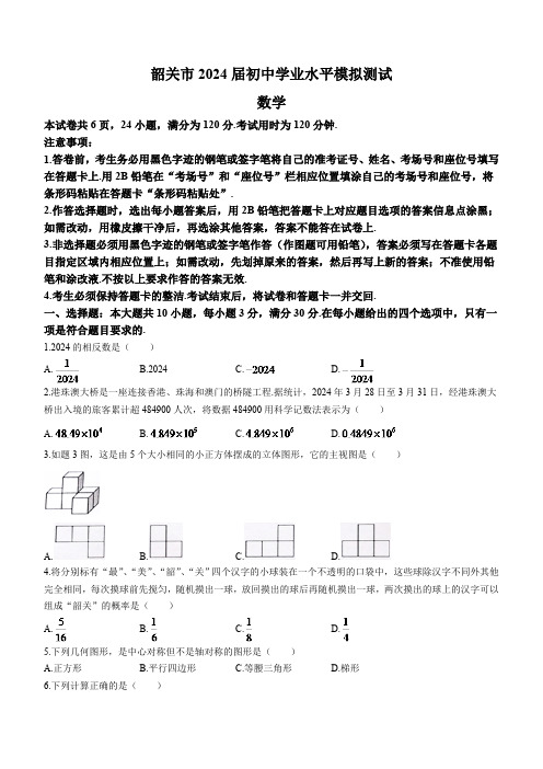 2024年广东省韶关市九年级中考二模数学试题