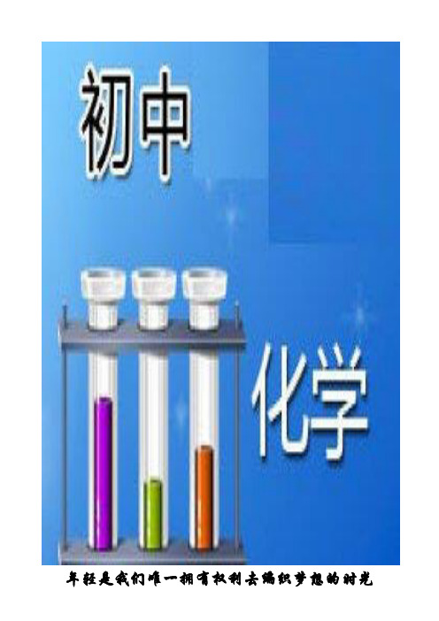 初中化学:《第十一单元_盐和化肥》复习课教案