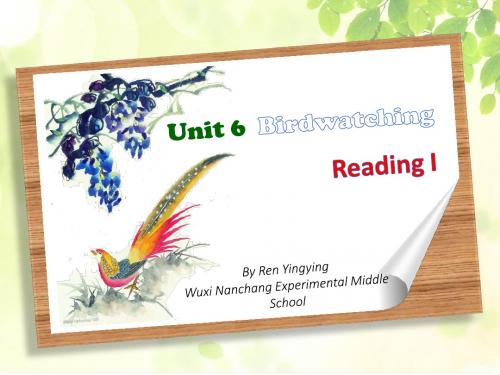 译林牛津版8A unit 6 Birdwattching Reading I