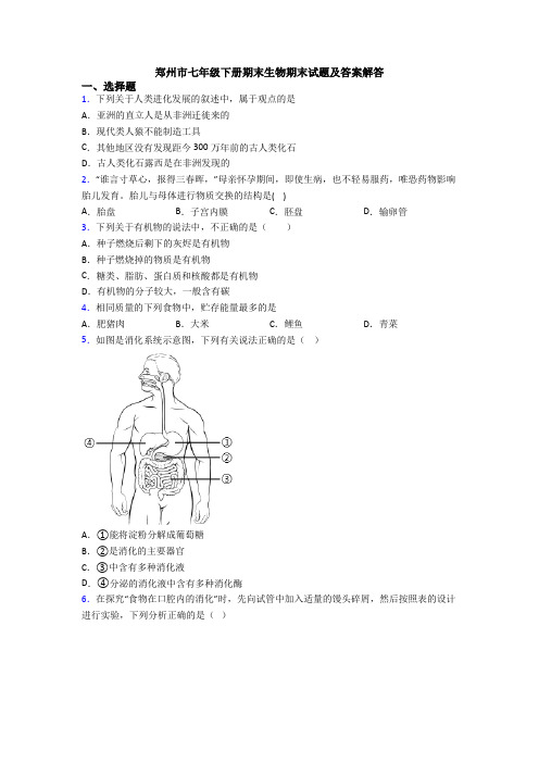 郑州市七年级下册期末生物期末试题及答案解答