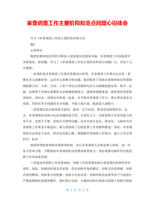 审查调查工作主要阶段和重点问题心得体会