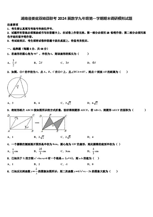 湖南省娄底双峰县联考2024届数学九年级第一学期期末调研模拟试题含解析