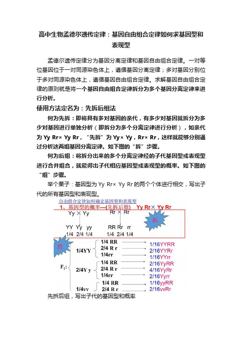 高中生物孟德尔遗传定律：基因自由组合定律如何求基因型和表现型