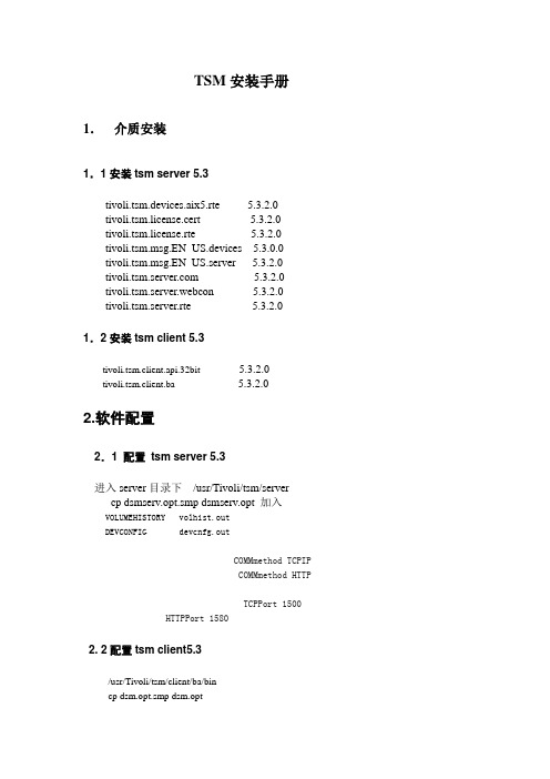 TSM实施