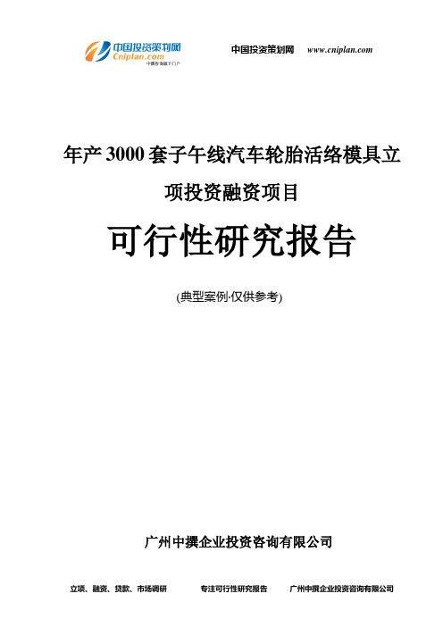 年产3000套子午线汽车轮胎活络模具融资投资立项项目可行性研究报告(非常详细)