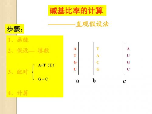 生物：关于碱基含量计算的简便方法-素材(新人教版必修2)