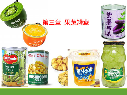 第三章 果蔬罐藏