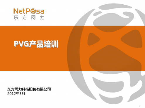 东方网力_PVG网络视频管理平台产品培训