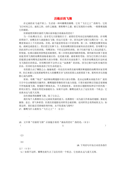 江苏省新沂市钟吾中学九年级语文 历练后的飞翔阅读理解专练(附答案)