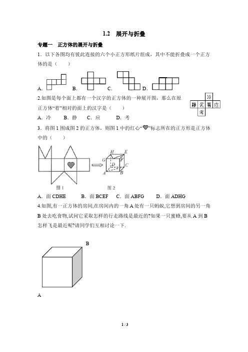 北师大版七年级数学上册《展开与折叠》专题训练(含答案)