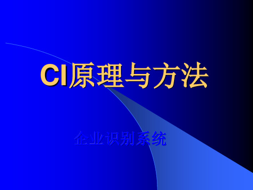 CI原理与方法