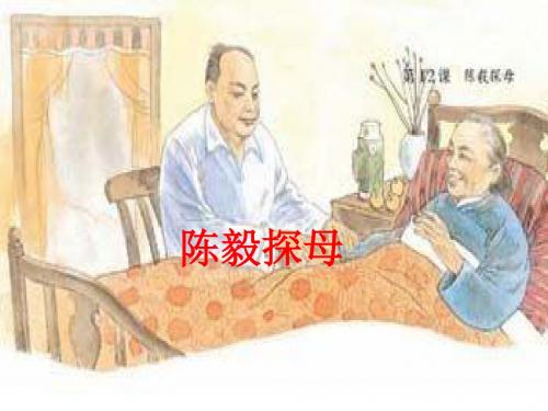 《青松》ppt课件2