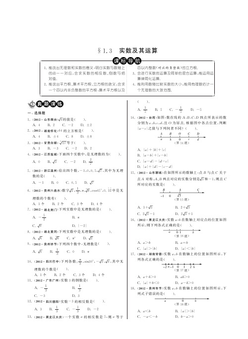 1.3实数及其运算(分类精讲)·数学中考分类精粹