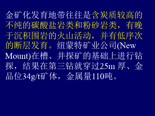 世纪全球典型金矿找矿案例分析