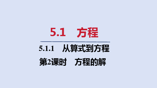 5.1.1   第2课时 方程的解  课件(共16张PPT)  人教版七年级数学上册