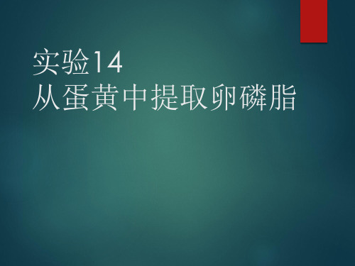 14.实验十四  从蛋黄中提取卵磷脂