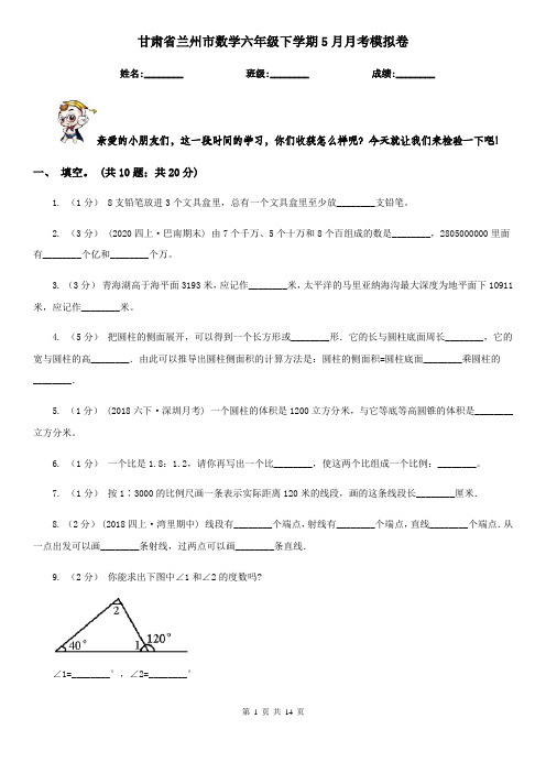 甘肃省兰州市数学六年级下学期5月月考模拟卷