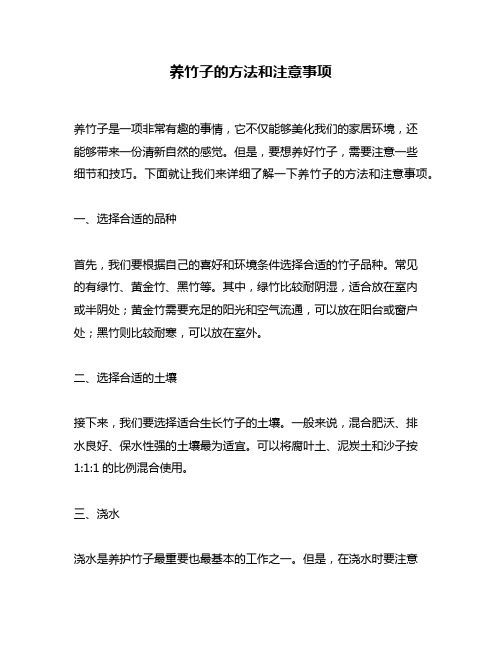 养竹子的方法和注意事项