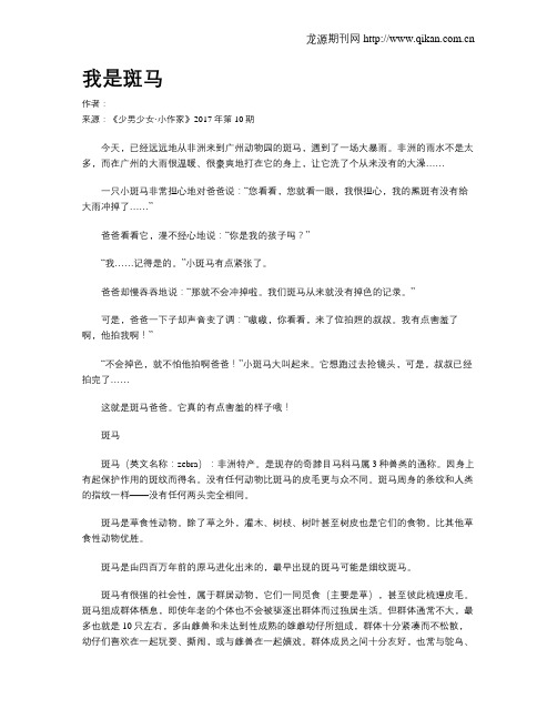 我是斑马