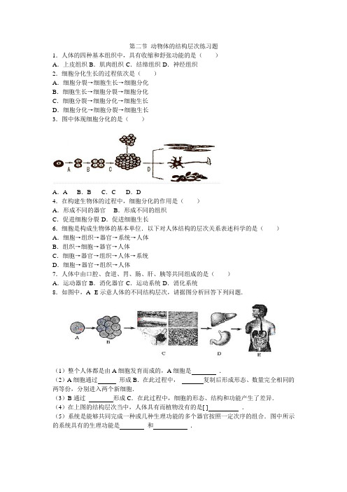 第二节 动物体的结构层次练习题