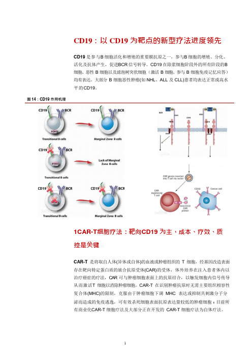 抗肿瘤新药CD19临床试验效果、在研产品及市场销售规模分析(2021年)