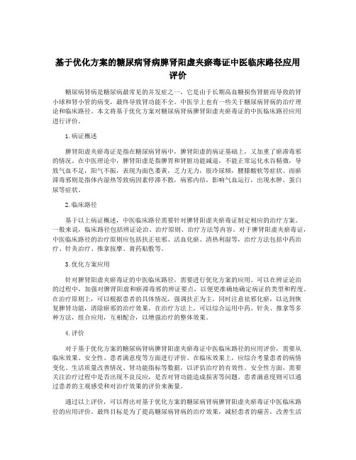 基于优化方案的糖尿病肾病脾肾阳虚夹瘀毒证中医临床路径应用评价