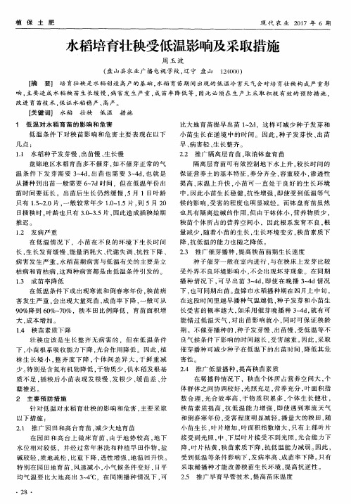 水稻培育壮秧受低温影响及采取措施