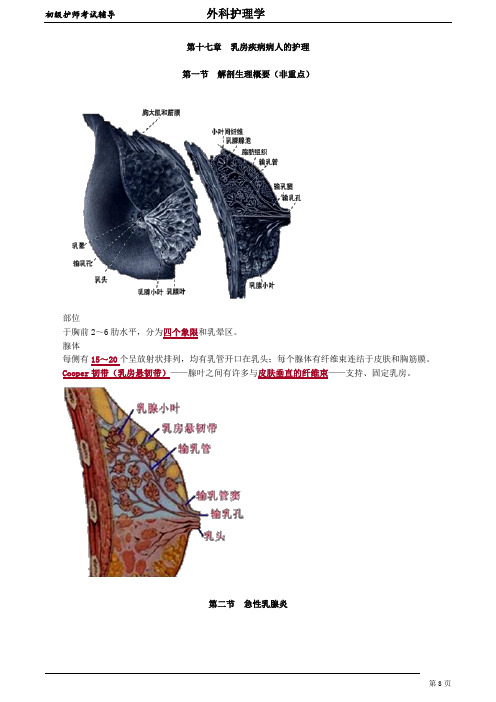 初级护师-外科护理学 讲义 第17章 乳房疾病病人的护理