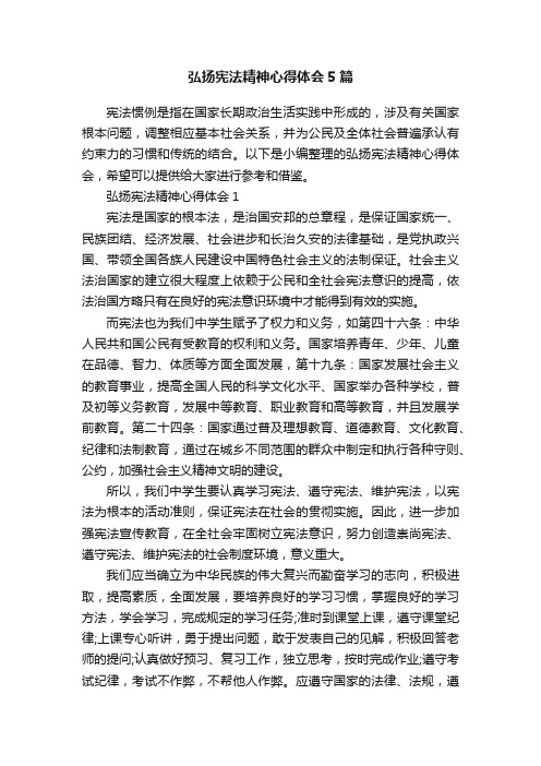 弘扬宪法精神心得体会5篇