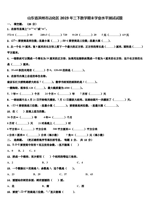 山东省滨州市沾化区2023年三下数学期末学业水平测试试题含解析