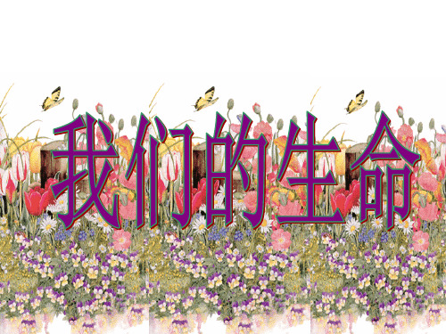 四年级上册品德与社会我们的生命PPT课件