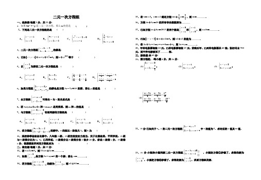 数学人教版七年级下册方程组测试训练题