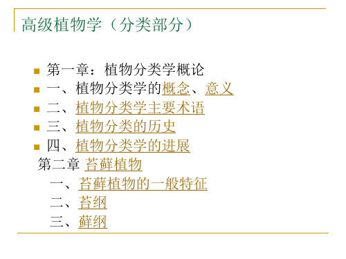 高级植物学1