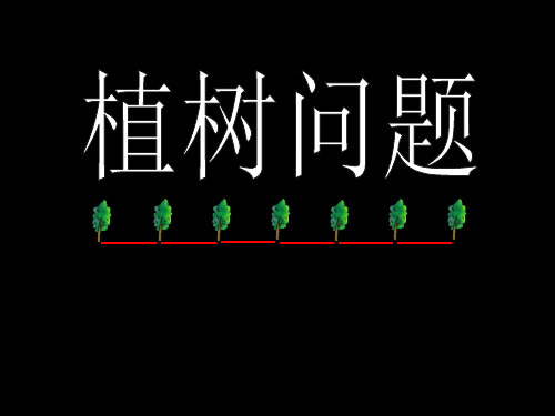 植树问题素材课件