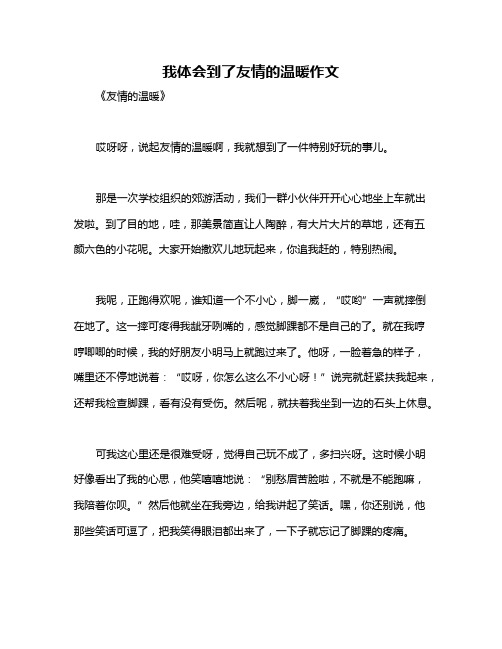 我体会到了友情的温暖作文