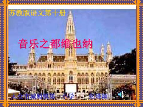 苏教版五年级下册语文《音乐之都维也纳》课件PPT